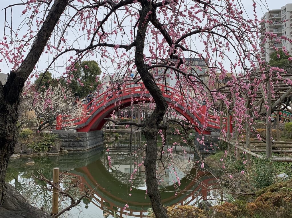 モネ歌川広重亀戸