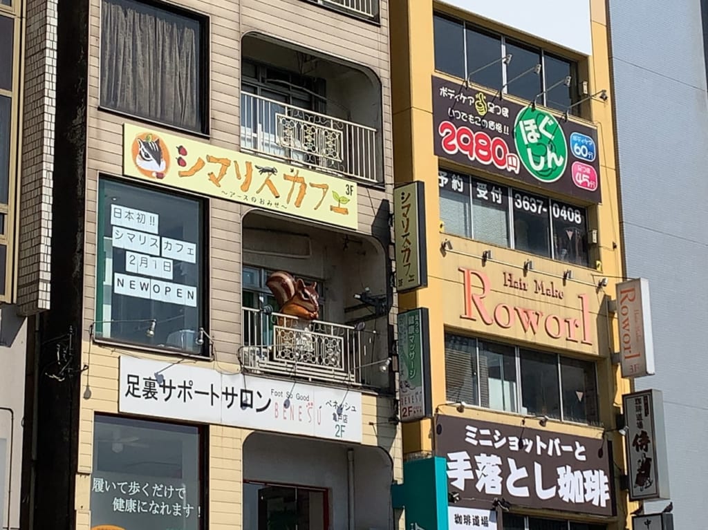 シマリスカフェ亀戸