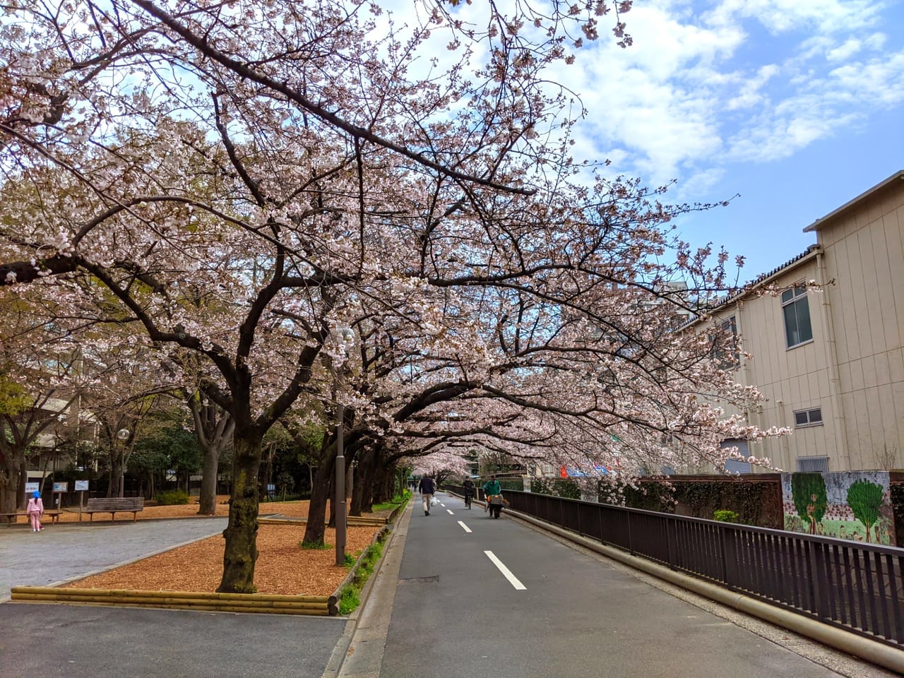 江東区 週末の雨風でせっかく咲きつつある桜が 仙台堀川公園の桜の様子は 確認してきました 号外net 江東区