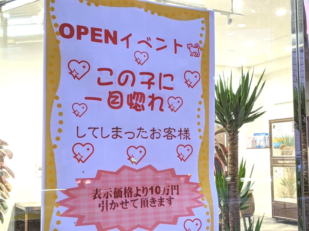 江東区清澄白河にオープンしたペットショップPRETTYのOPENイベントチラシ