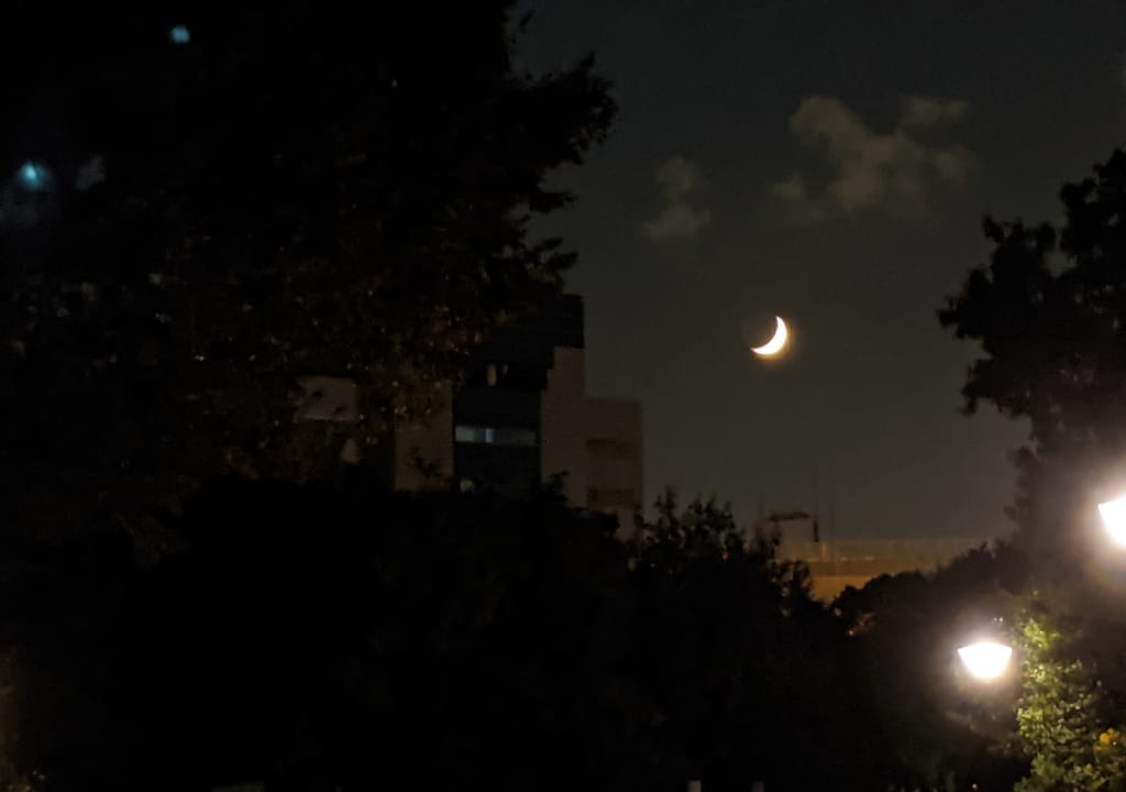 夜の木場公園
