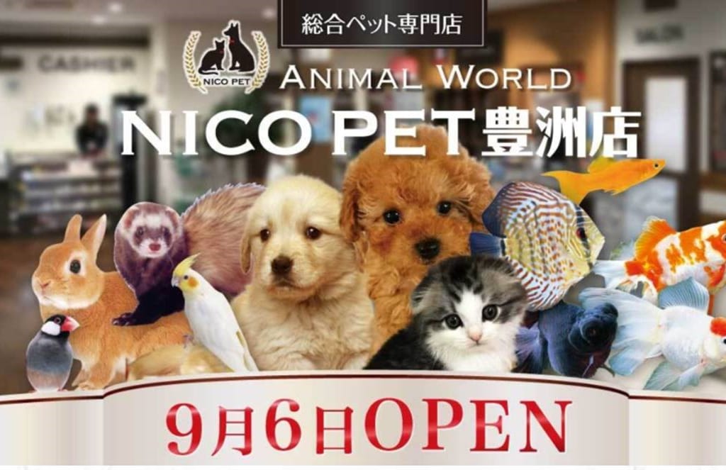 NICO PET　豊洲店