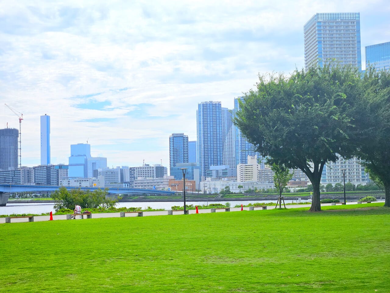 ベンチが多い豊洲公園