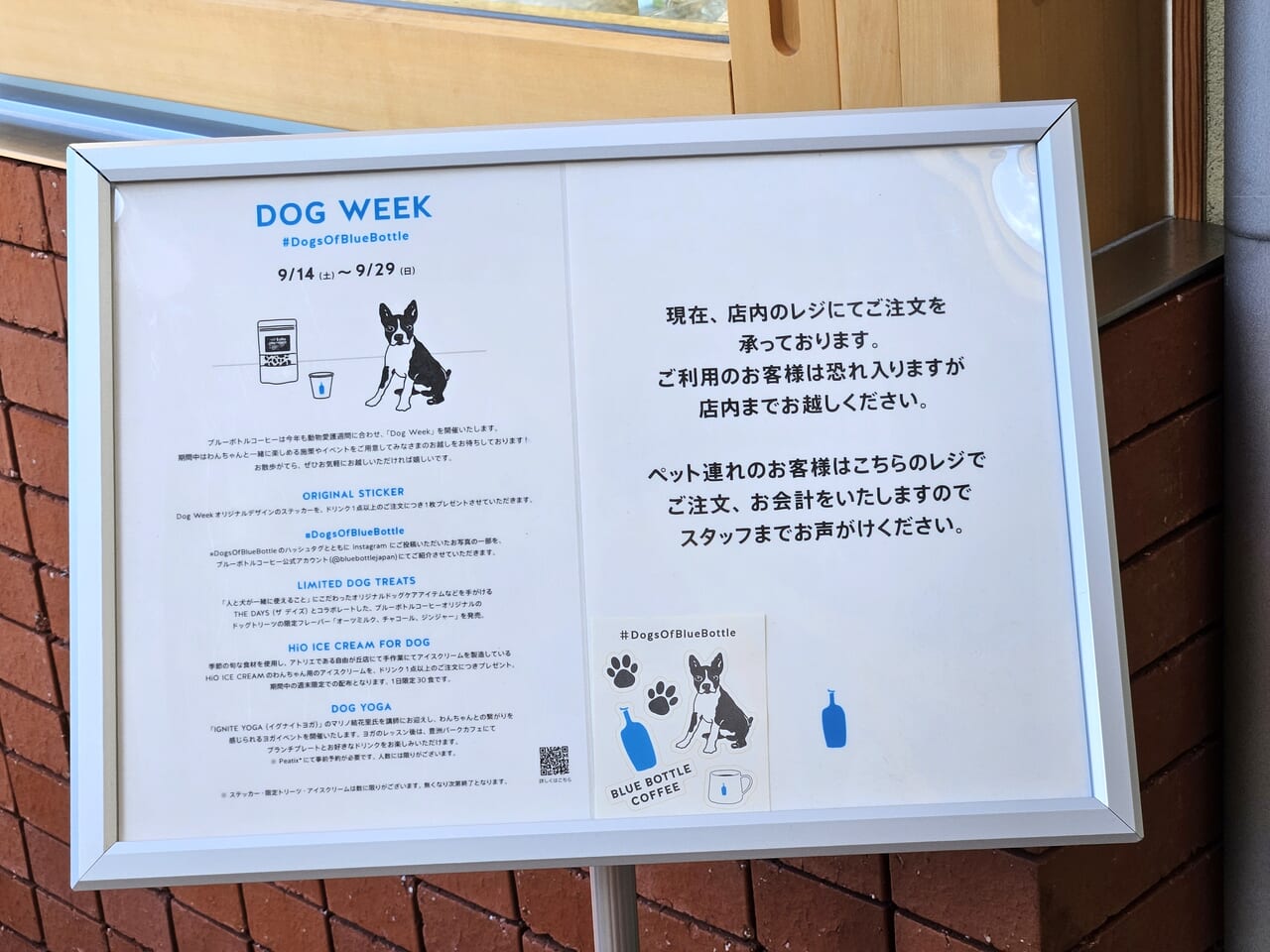 ブルーボトルコーヒー豊洲　dogweek看板案内