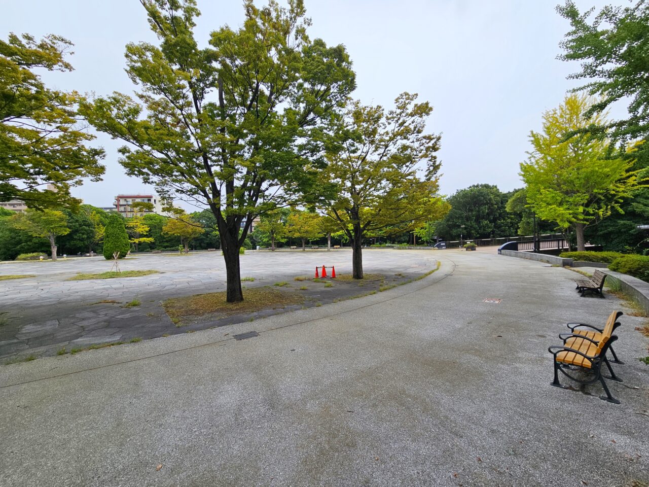 東京ビーガングルメ祭りの会場木場公園