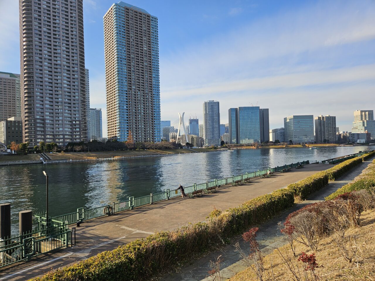 東京わんこマルシェの会場