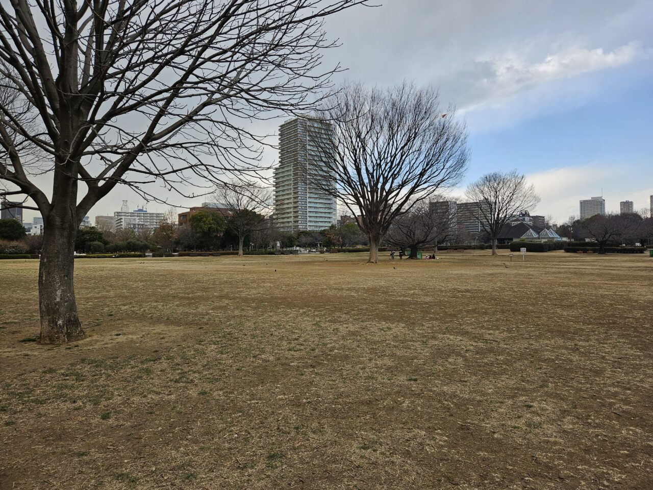 「花と光のムーブメント」イベントが木場公園で開催