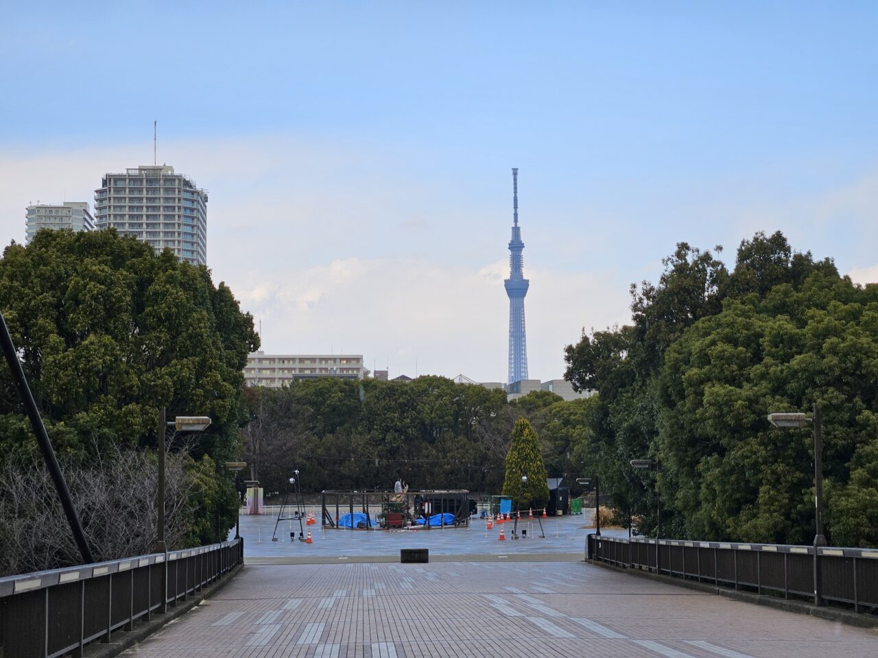 「花と光のムーブメント」イベントが木場公園で開催 