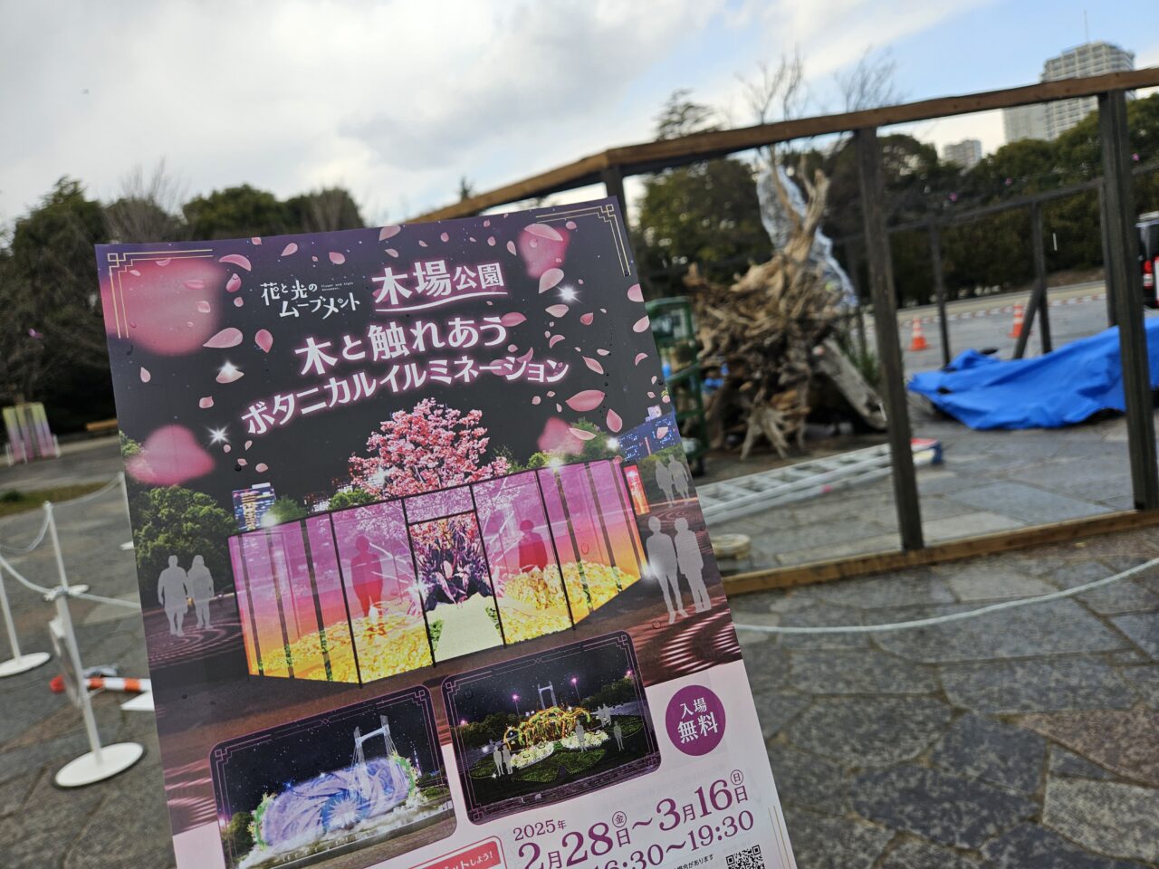 「花と光のムーブメント」イベントが木場公園で開催 