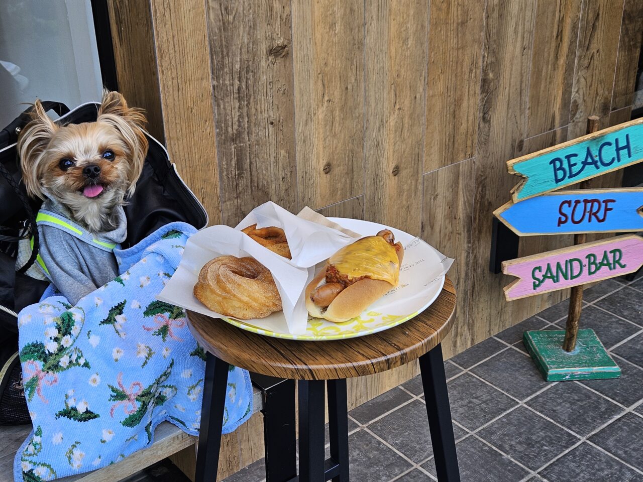 THE MALASADA TOKYO清澄白河店の人気ドーナツ