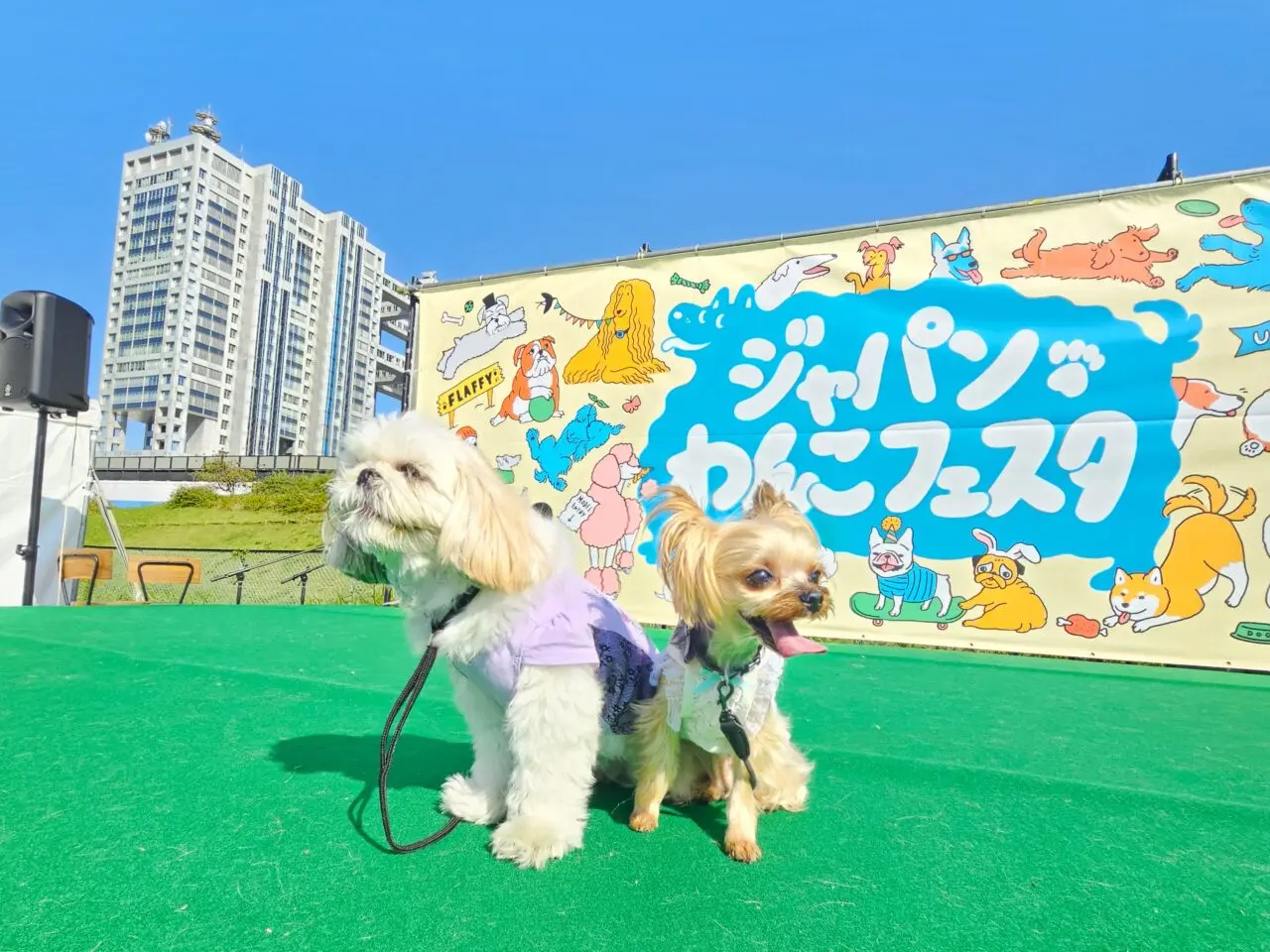 ジャパンわんこフェスタ2025が開催予定