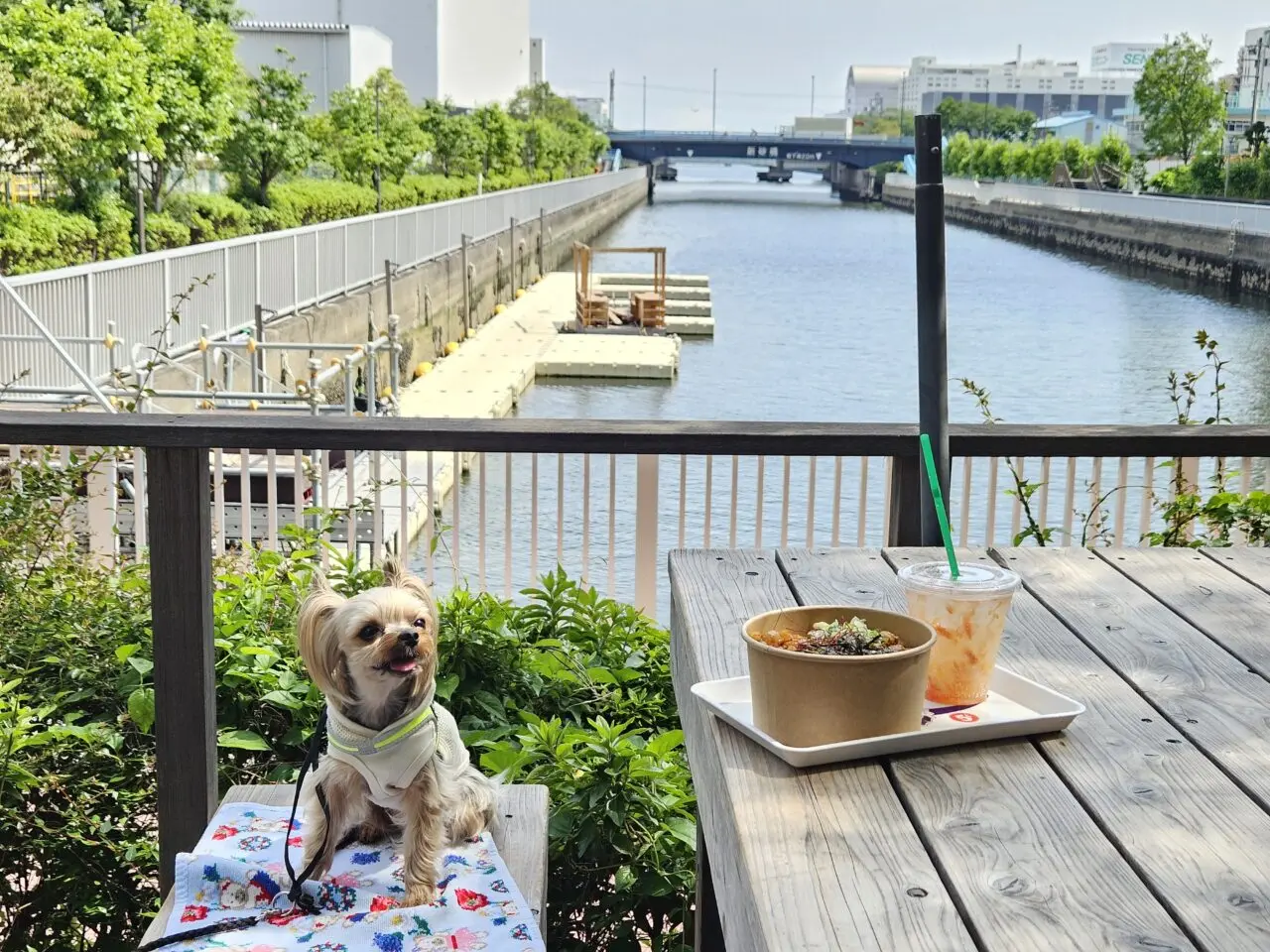 CONTAINER CAFE 2187のウッドデッキでランチ