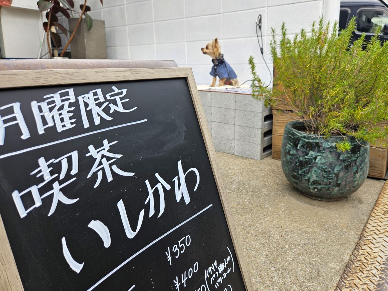 喫茶いしかわがオープン