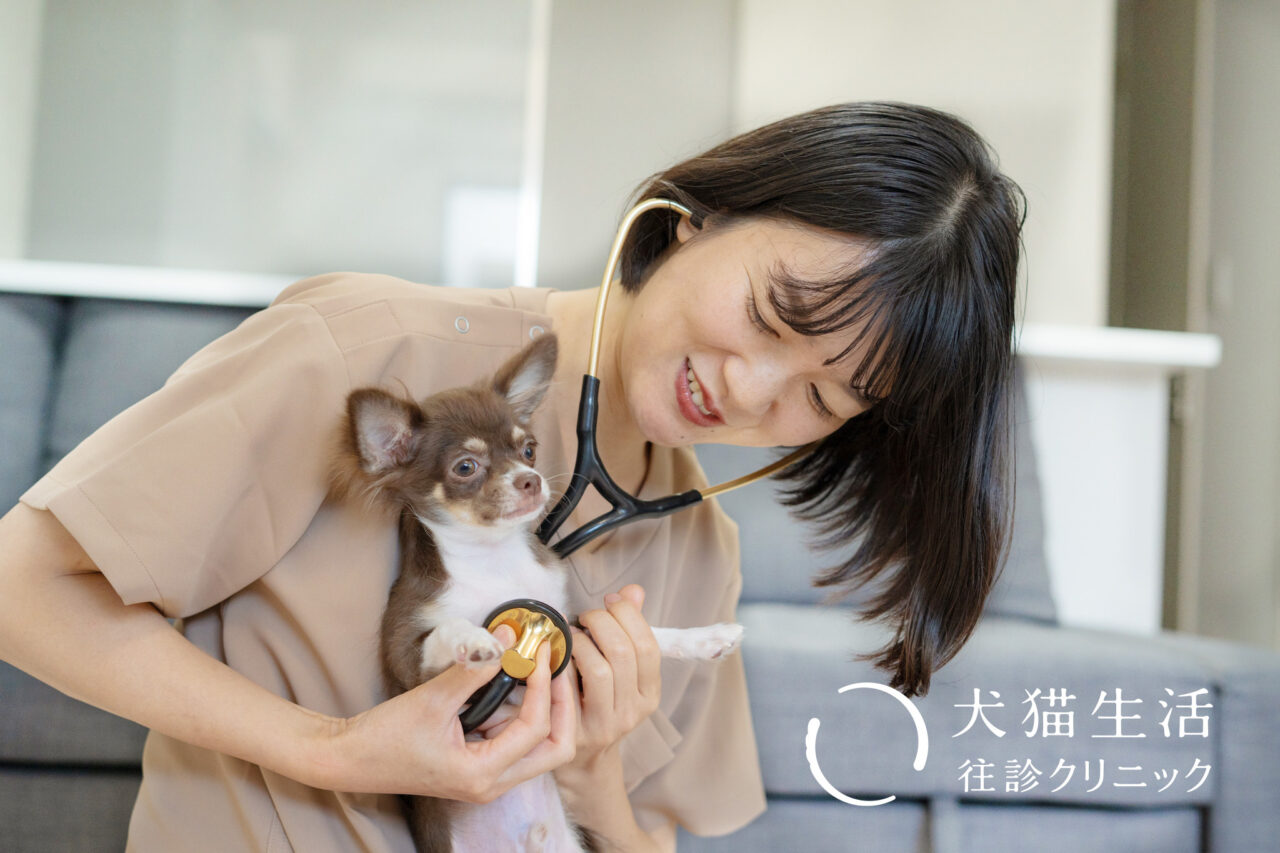 ジャパンわんこフェスタ2025が開催予定