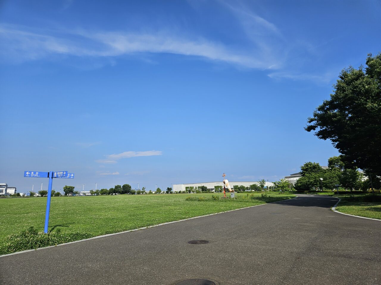 東京臨海広域防災公園で「空を見上げてIN 東京」が開催