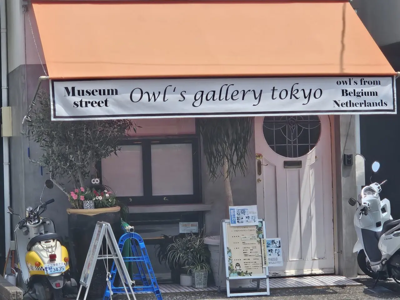 フクロウカフェ「フクロウギャラリー TOKYO」