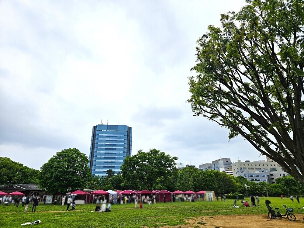 木場公園でKOTO CRAFT KAKIGORI & WATER FESTIVALが開催