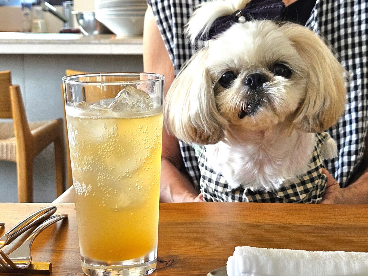 bistro momoのランチコース