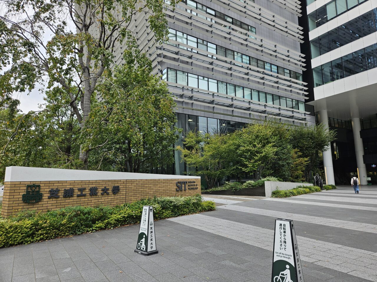 銀座シシリア　豊洲店でランチ