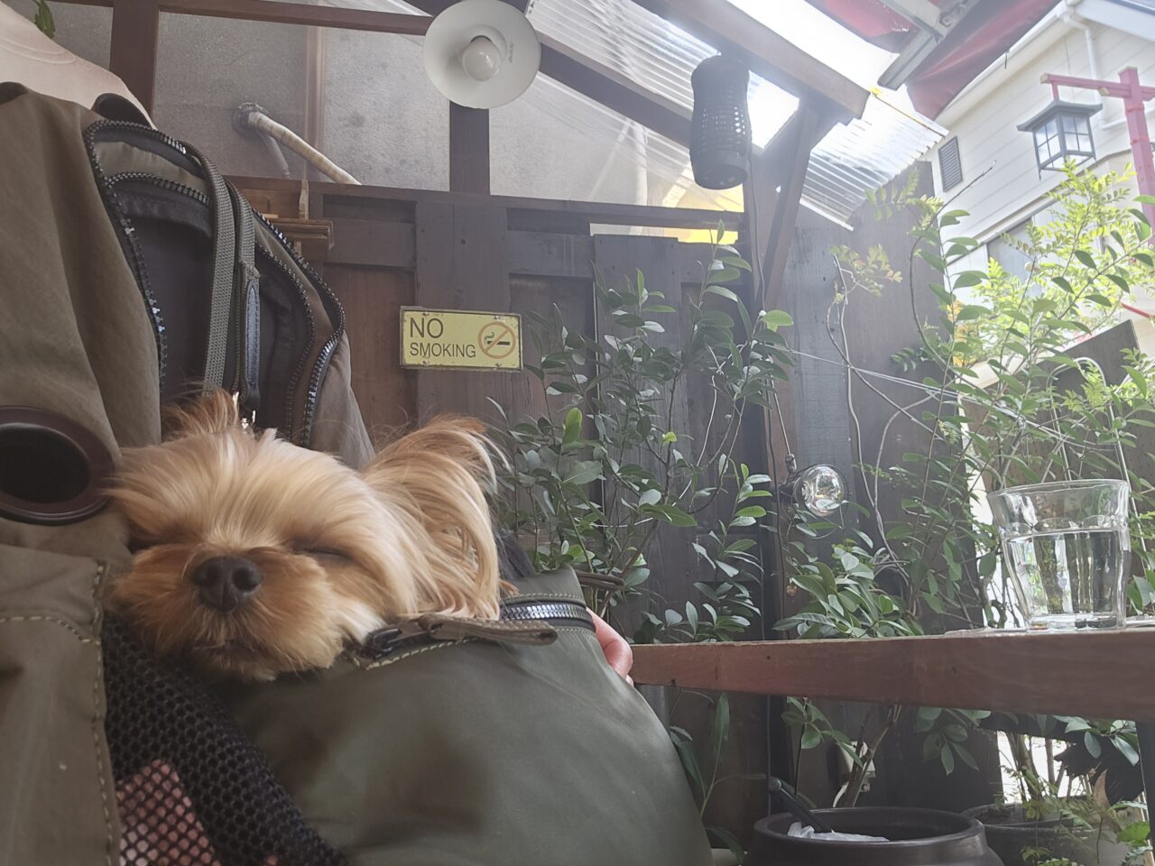 お招き屋・ディデアンの薬膳カレー