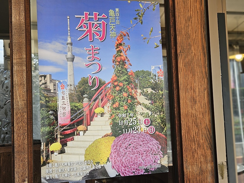 亀戸天神の菊まつり準備中
