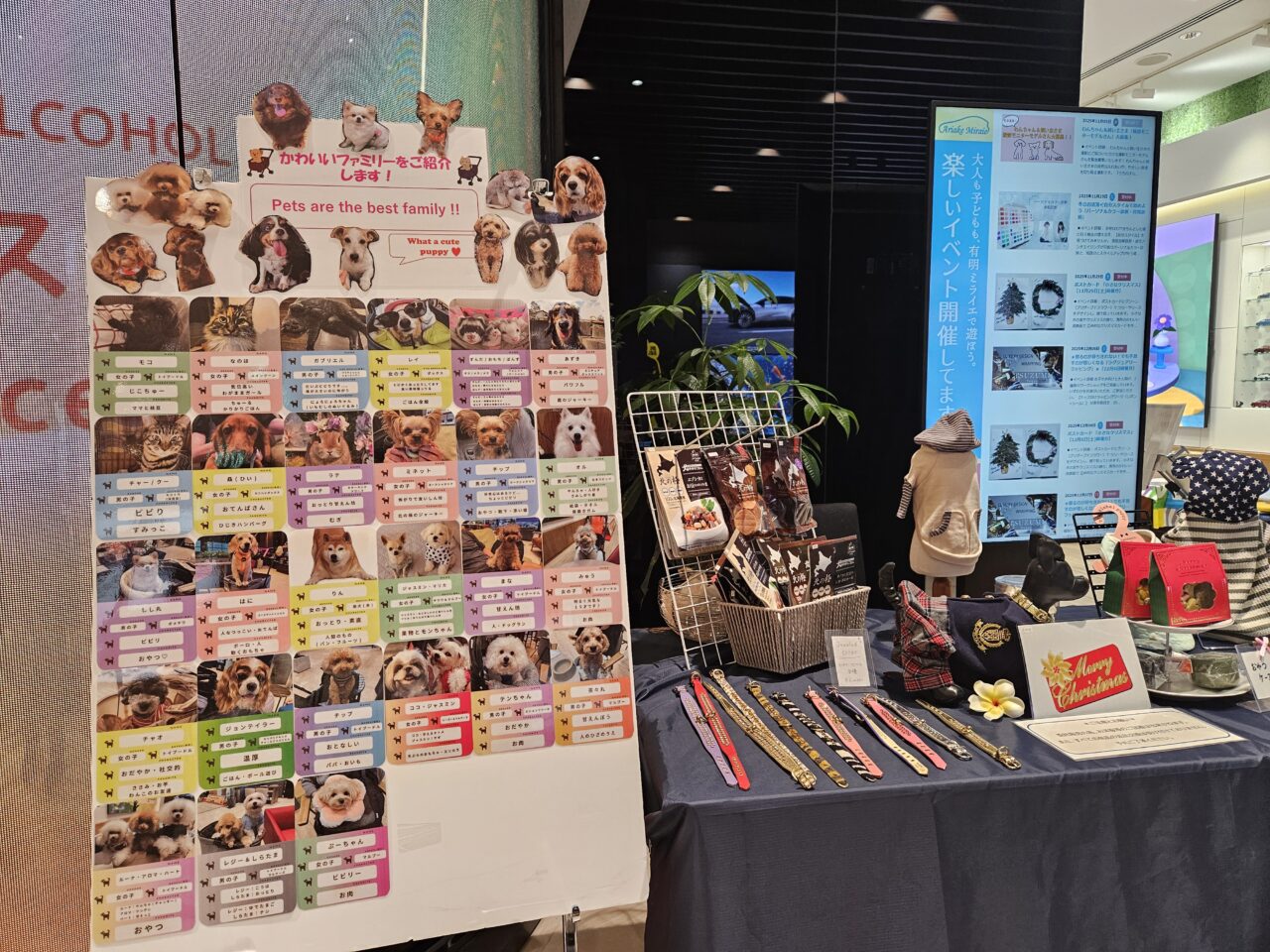 有明ミライエでクリスマスイベント開催