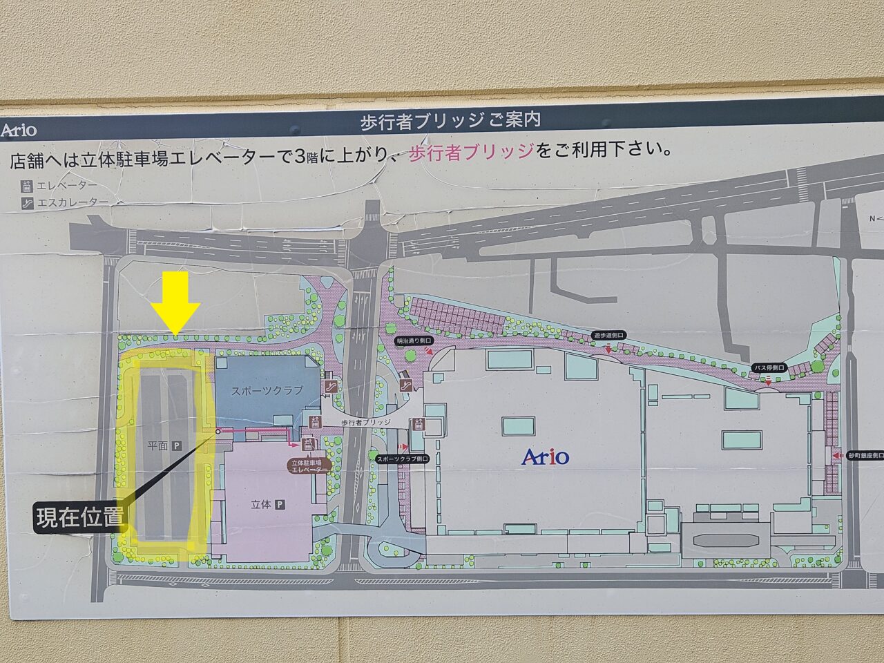 コジマフェスティバル ドッグカーニバル2025がアリオ北砂で開催