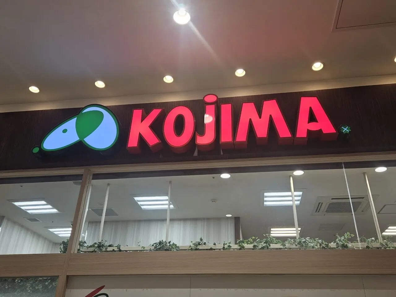 コジマフェスティバル ドッグカーニバル2025がアリオ北砂で開催