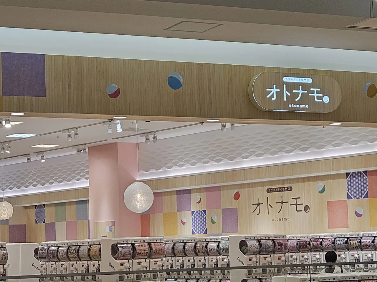 アリオ北砂店などが新店舗オープン