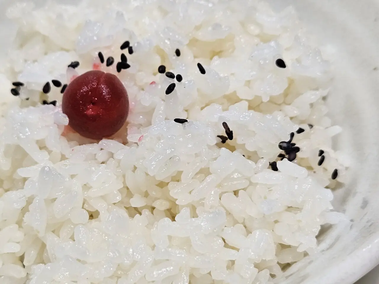 10月オープンの豚とんトーキョーとんかつ 東大島店