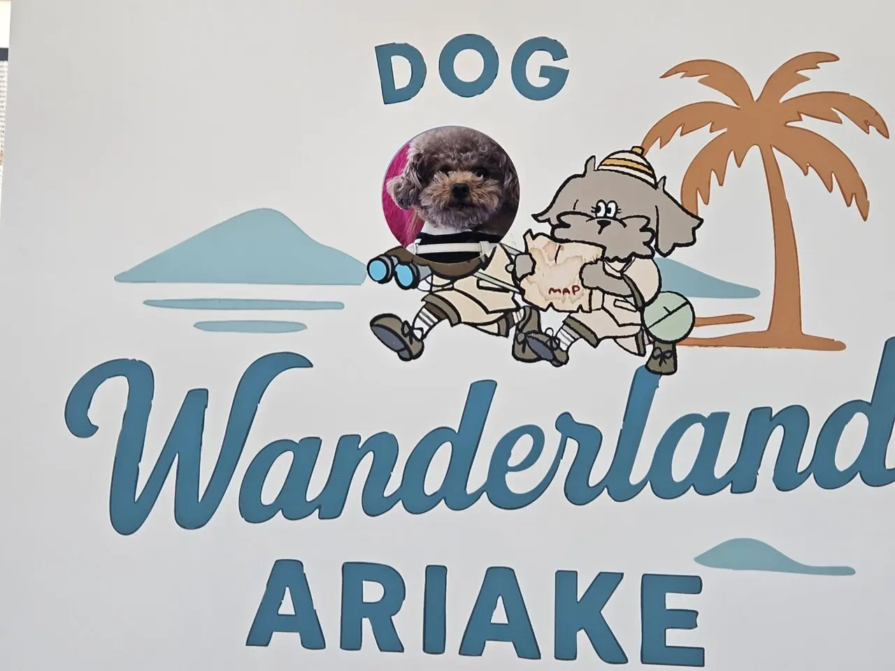 livedoor URBAN SPORTS PARKで大規模ドッグイベント開催中