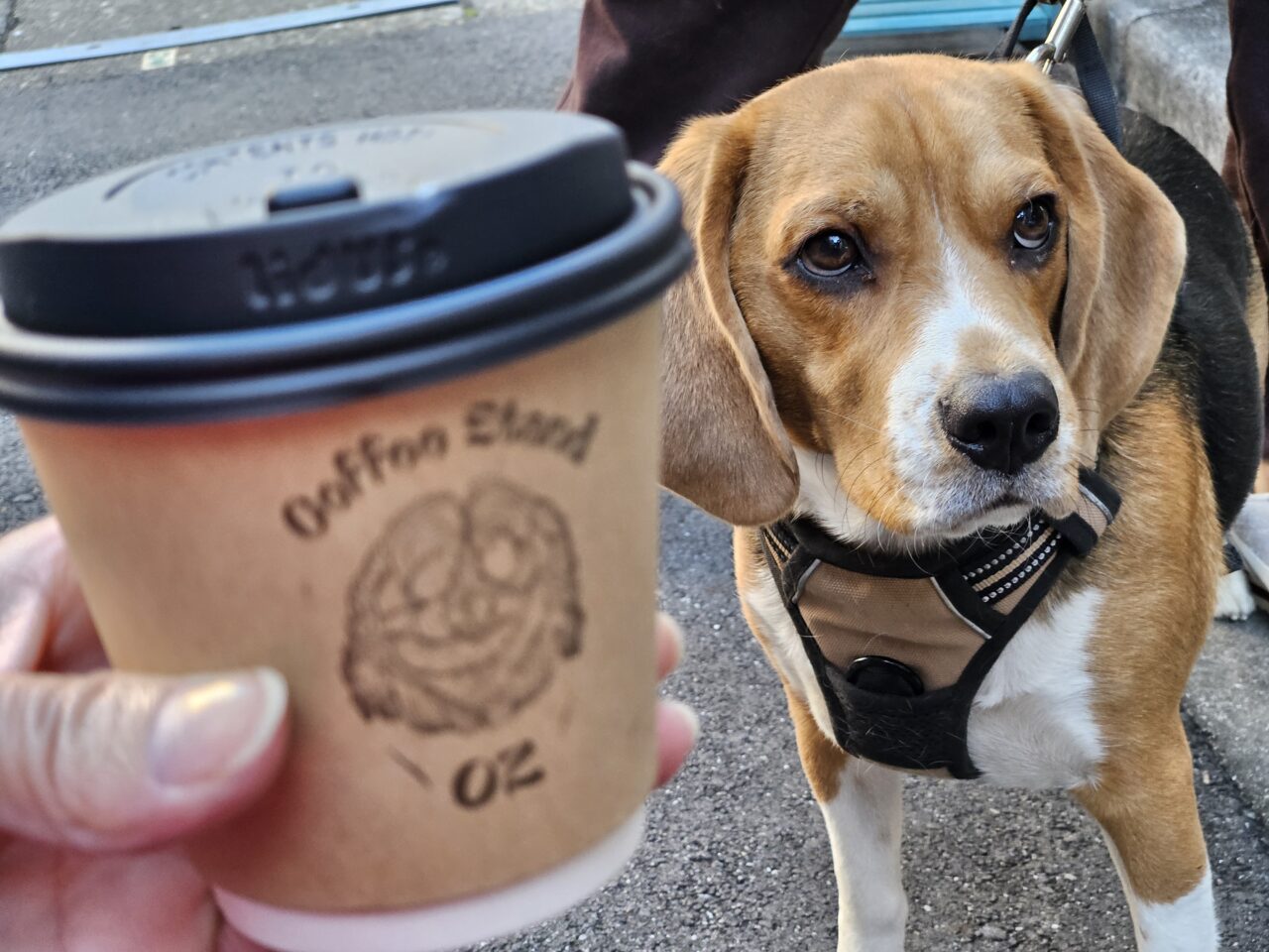 清澄白河のコーヒースタンドOZ