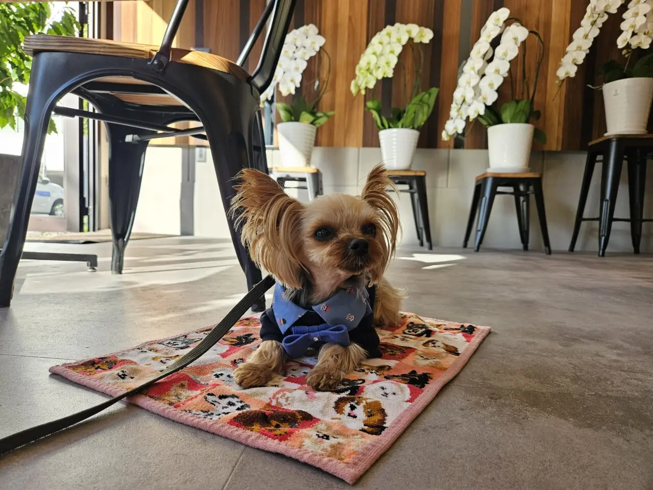 11月にオープンした深川和倉珈琲焙煎所