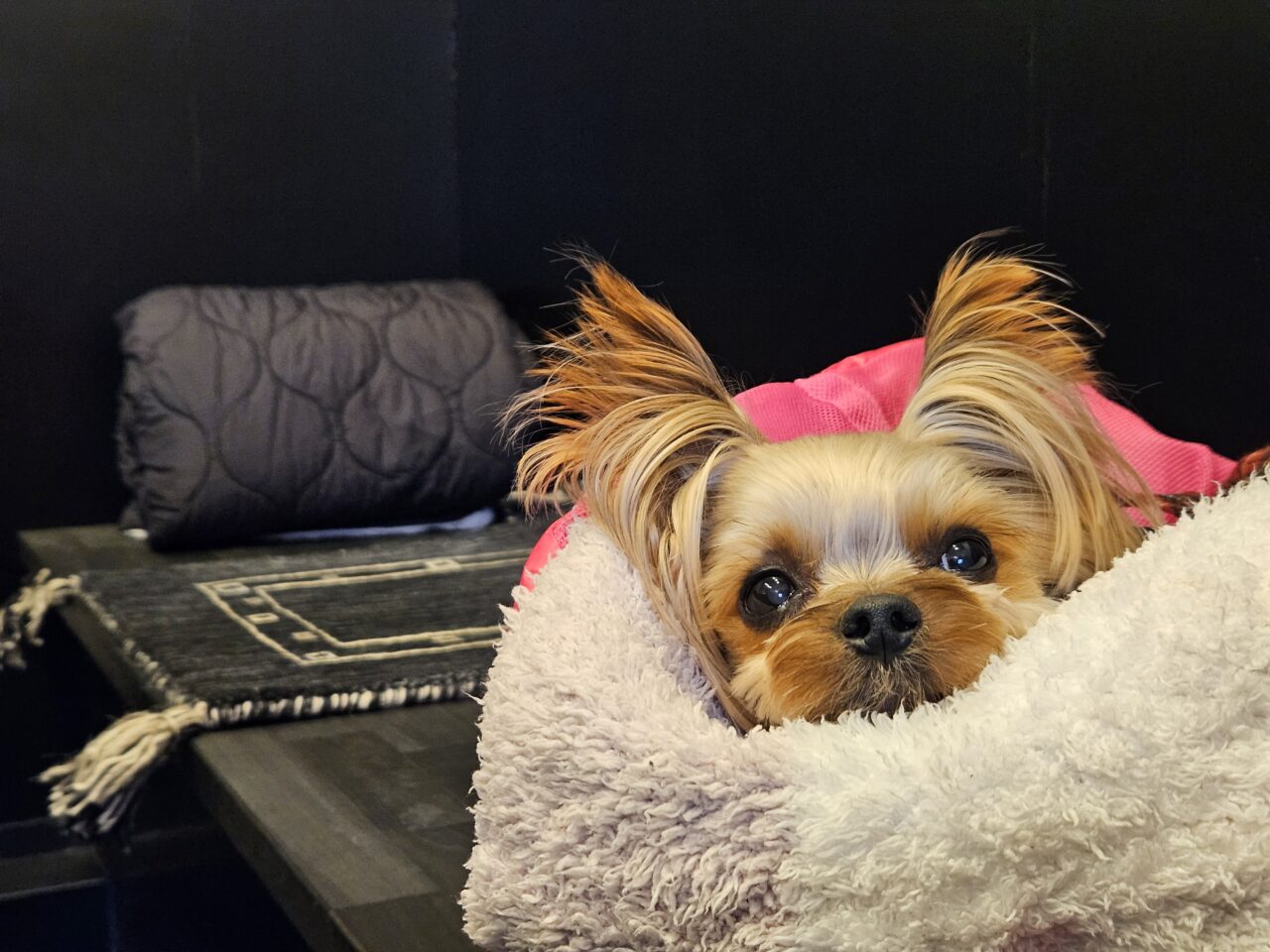 江東区牡丹町にオープンしたDEUX TROIS