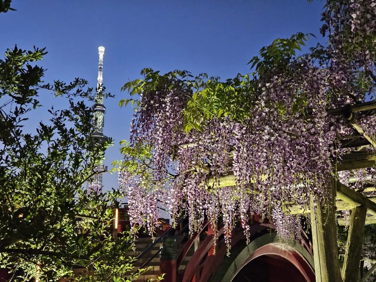 2025年の記事ランキング