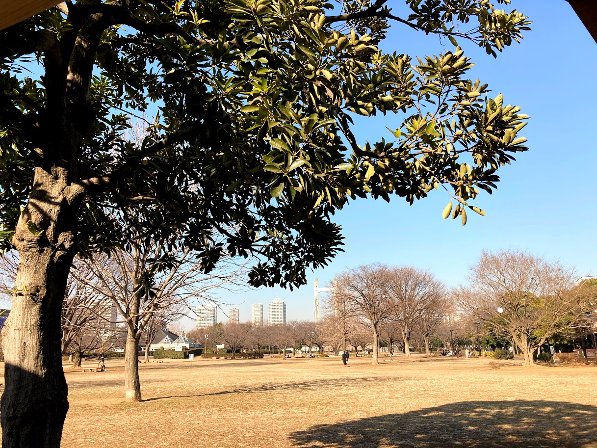 木場公園で「KIBACO CRAFT XMAS MARKET 2025」が開催予定