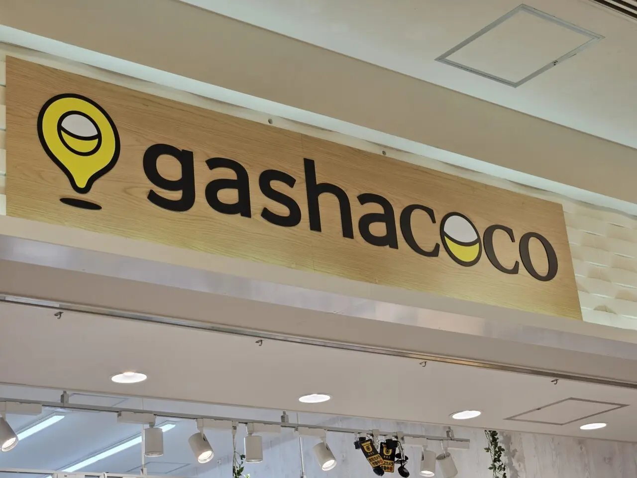 ららぽーと豊洲2026の閉店とリニューアル店舗リスト