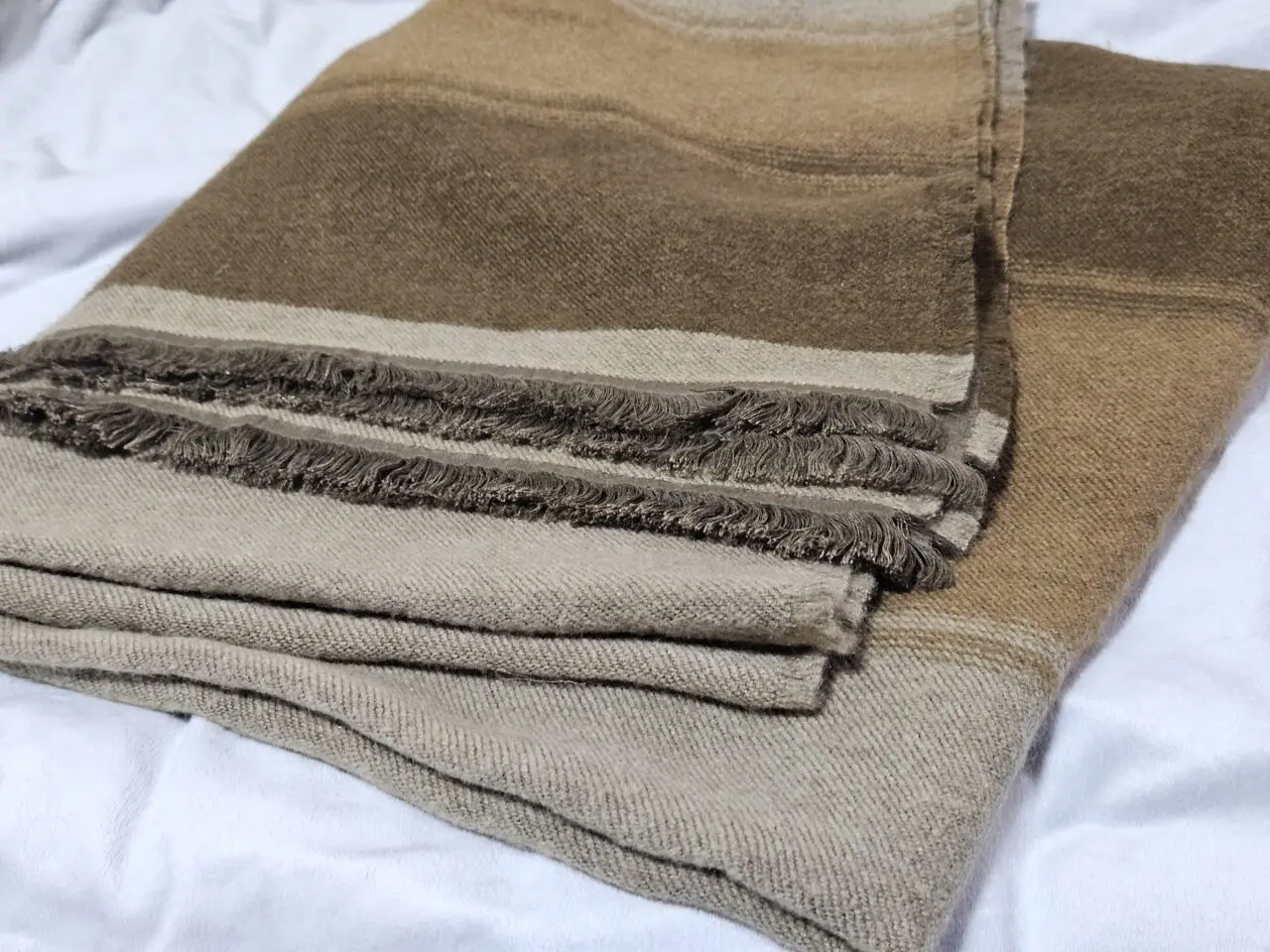 ららぽーと豊洲2026の閉店とリニューアル店舗リスト