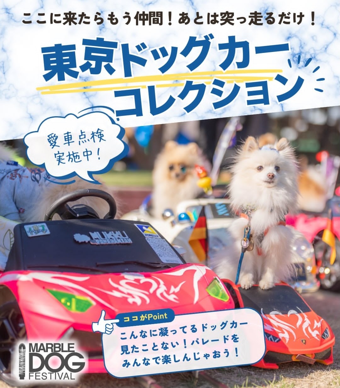東京ビッグサイトで犬イベント開催