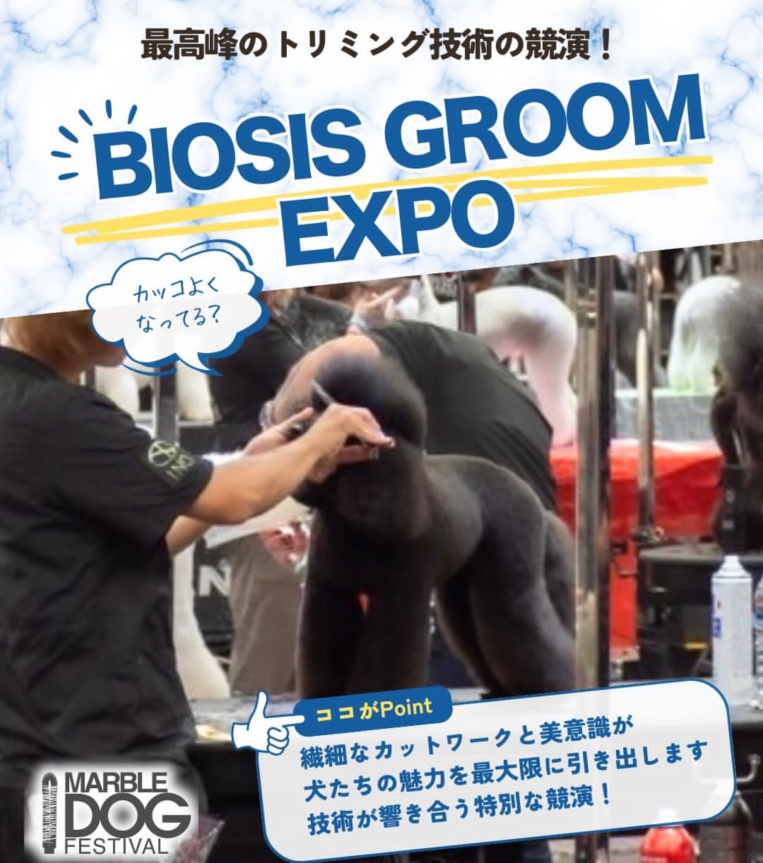 東京ビッグサイトで犬イベント開催