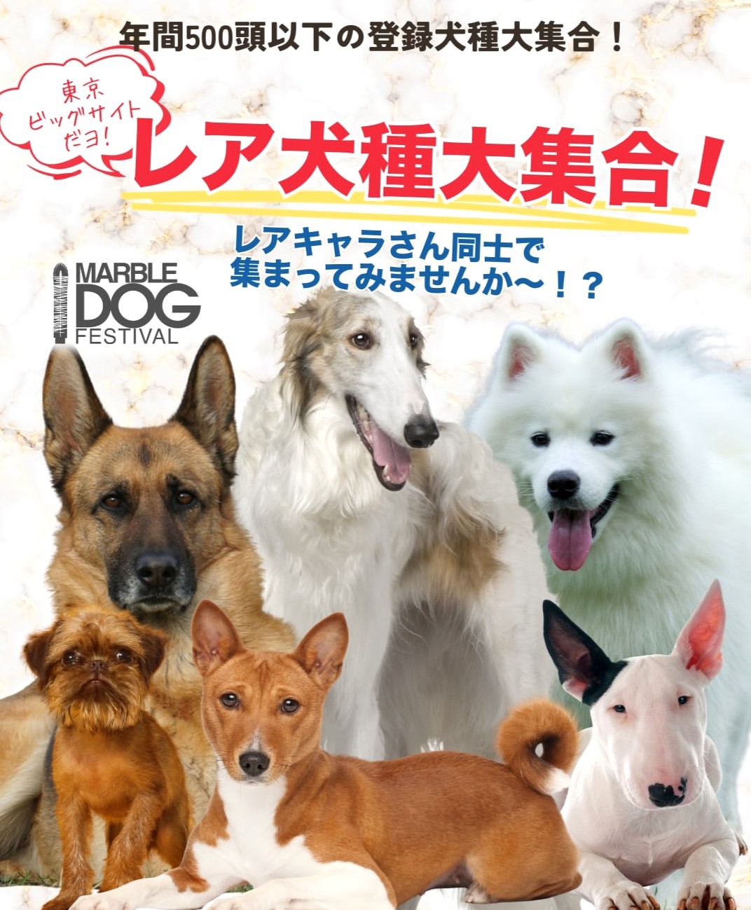 東京ビッグサイトで犬イベント開催