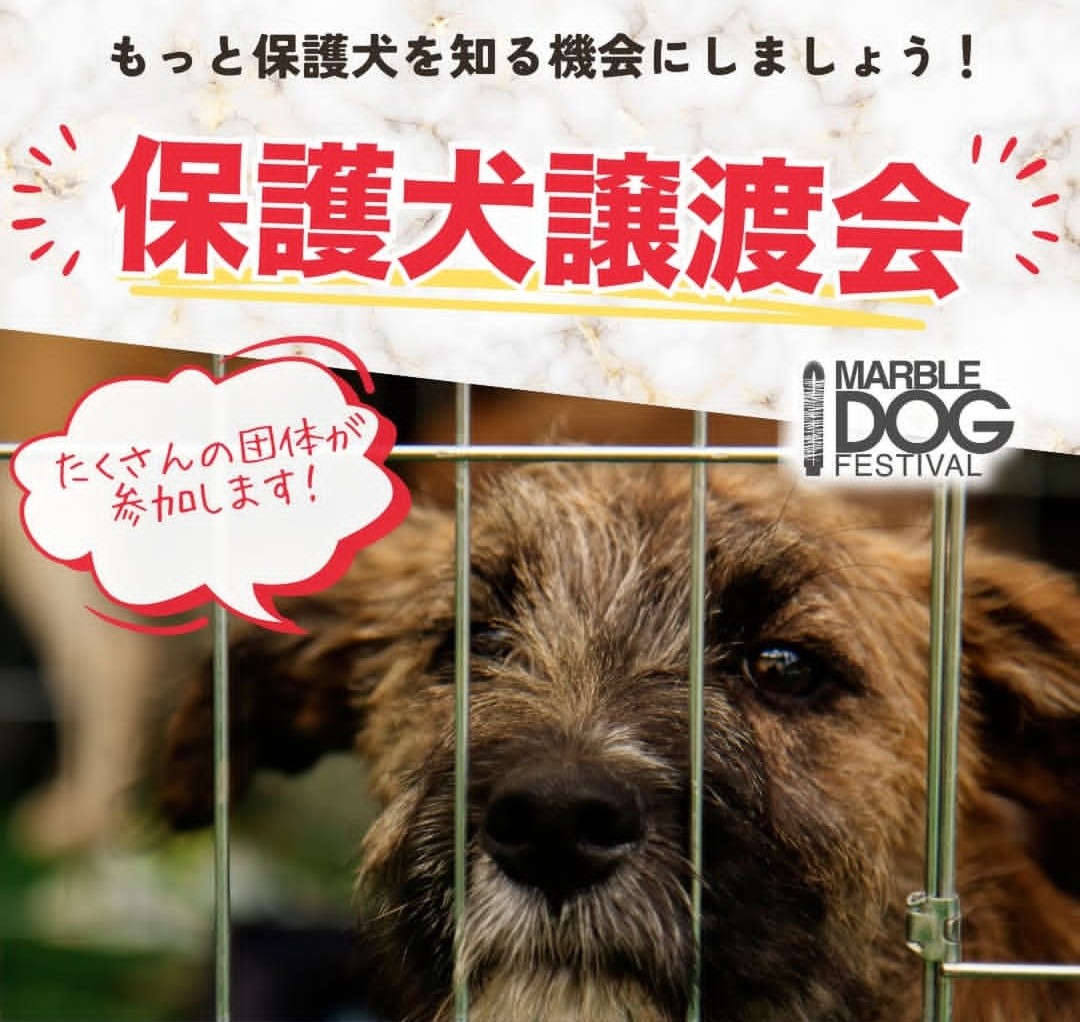 東京ビッグサイトで犬イベント開催