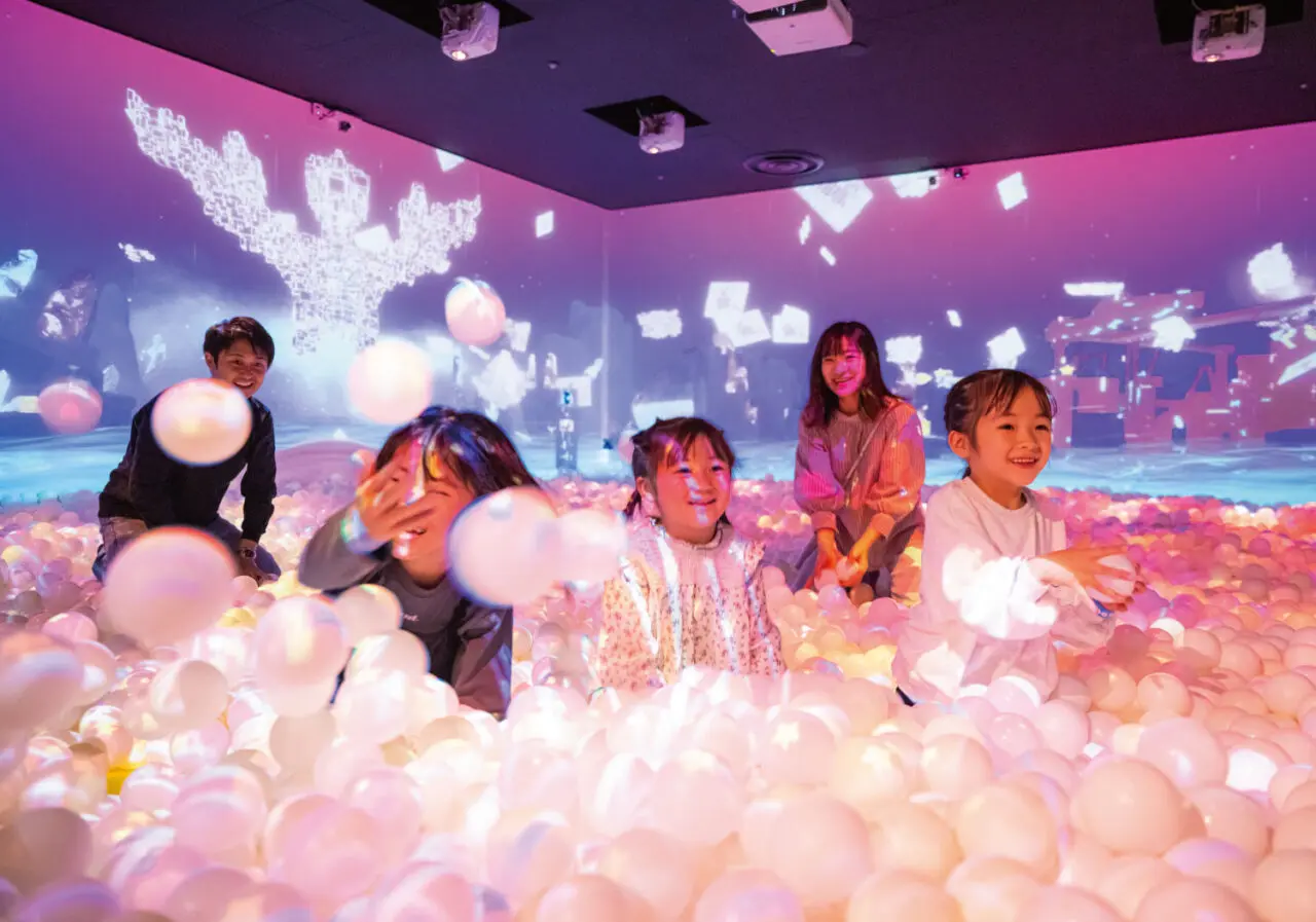 リトルプラネットで平日ミラクルパスの販売を開始