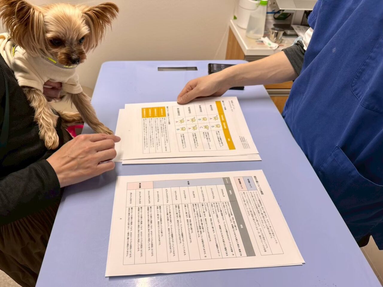 コジマ動物病院でペットの腸内検査ができます