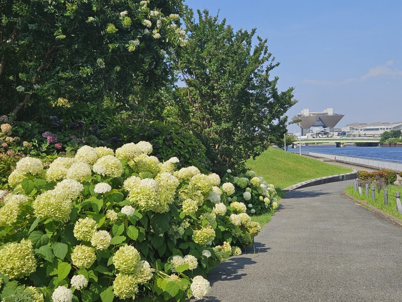 「Pokémon GO Fest 2026：東京」開催へ