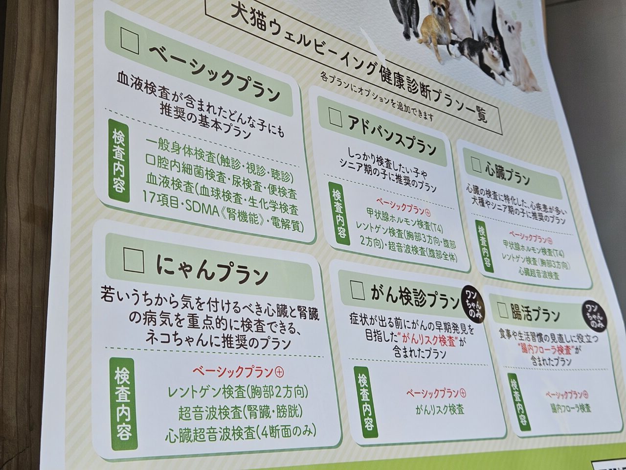 コジマ動物病院でペットの腸内検査ができます