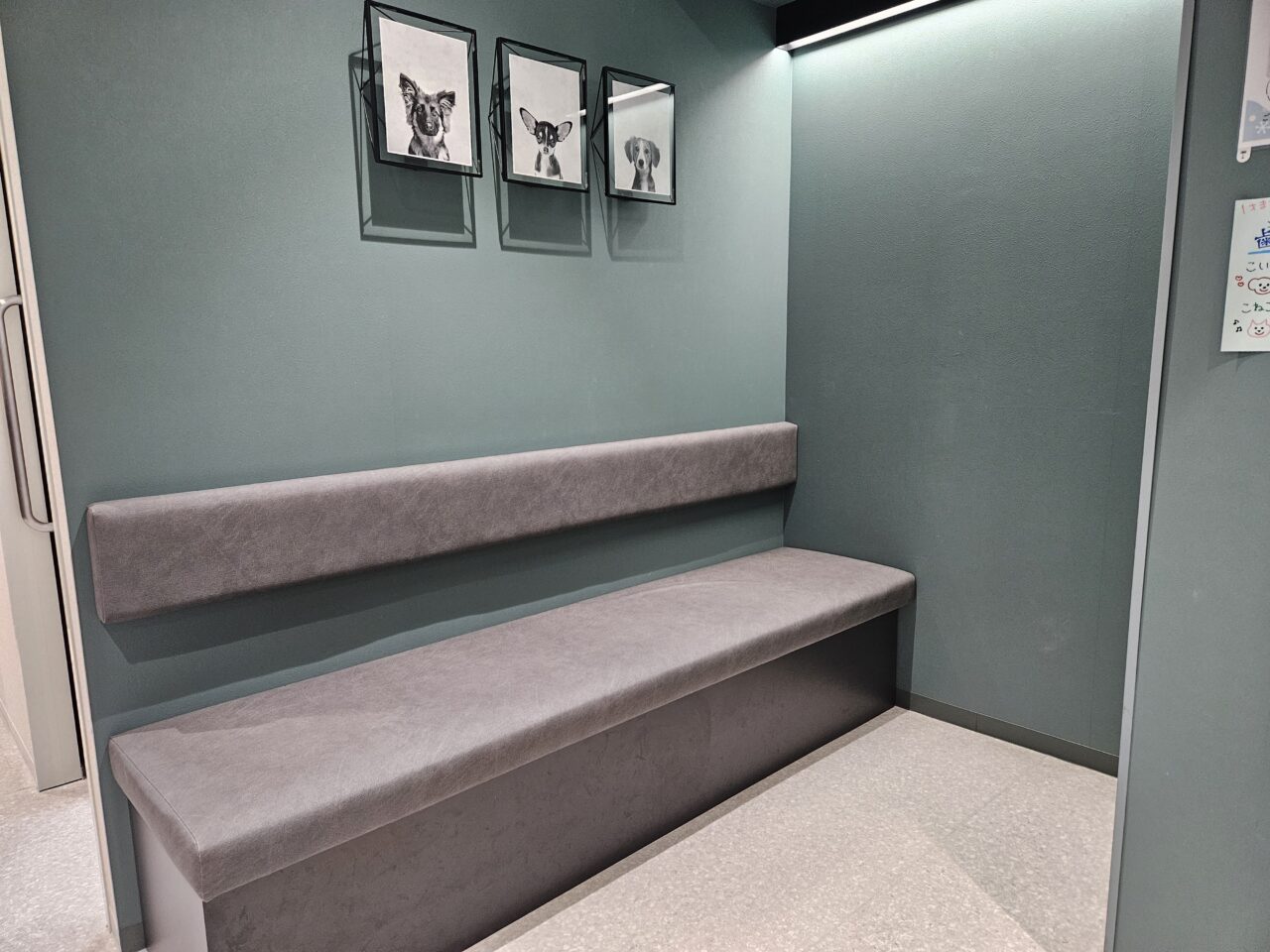 コジマ動物病院でペットの腸内検査ができます