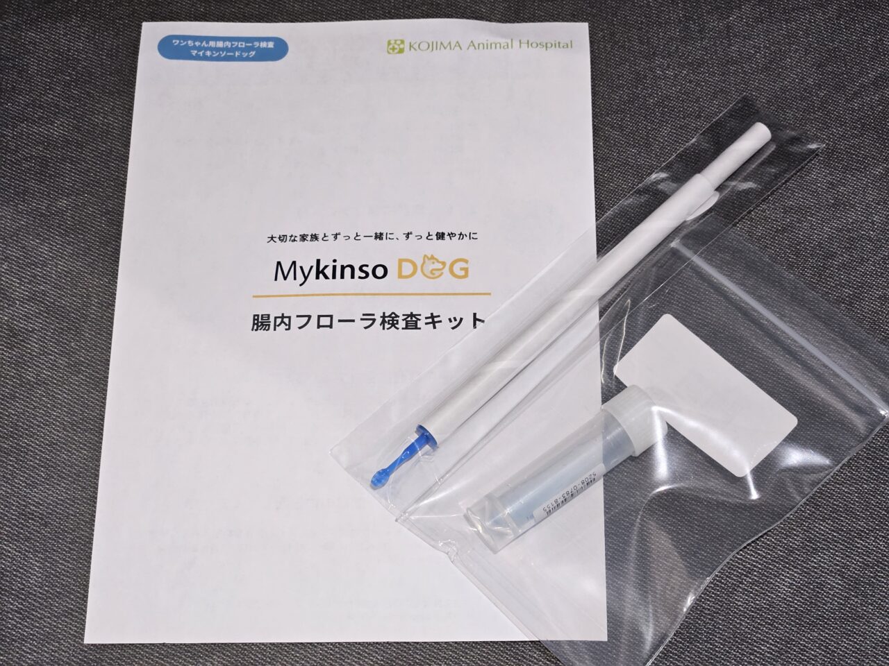 コジマ動物病院でペットの腸内検査ができます