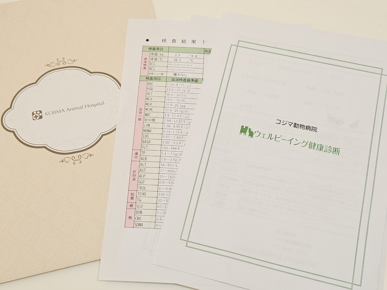 コジマ動物病院でペットの腸内検査ができます