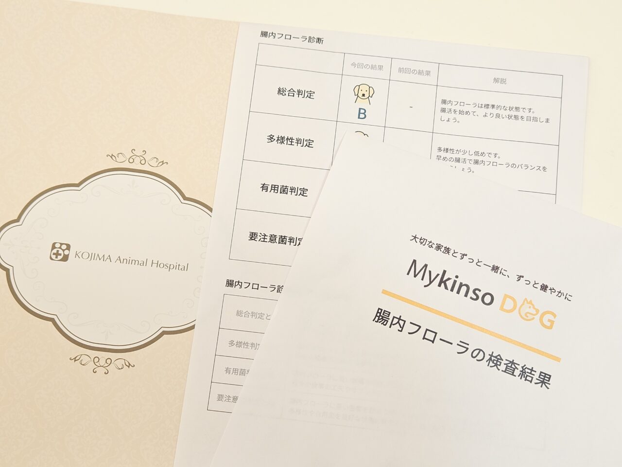 コジマ動物病院でペットの腸内検査ができます